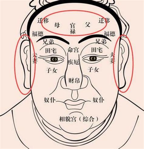 什么样的面相有福气，女人大富大贵的面相_什么样的面相有福气,第2张